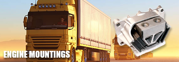 Li's Static Banner